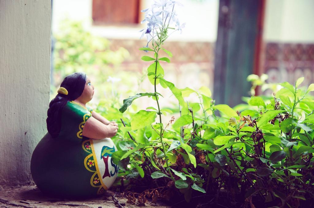 Hostal Sonati Leon Ngoại thất bức ảnh